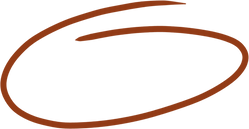 Orange Encircle Icon